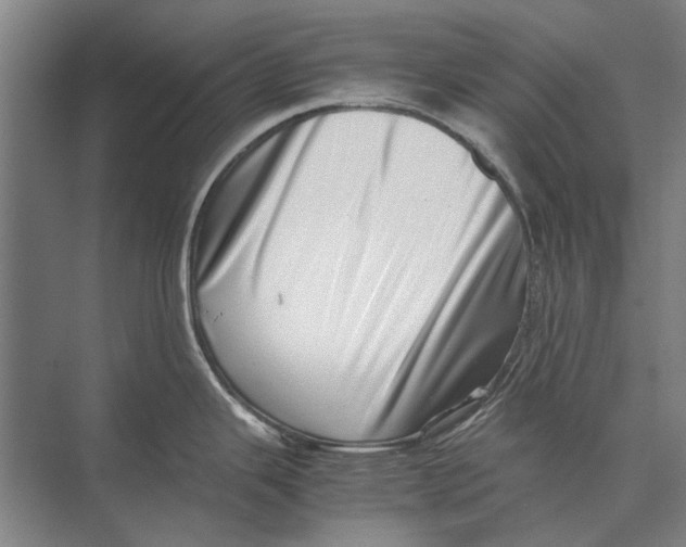 X0000071951343200608041543