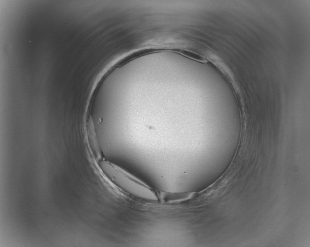 X0000071951344200608041543