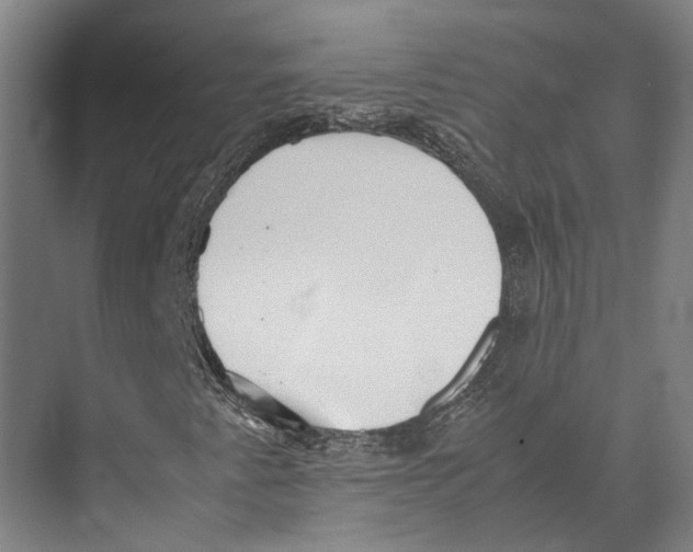 X0000071951345200608041542