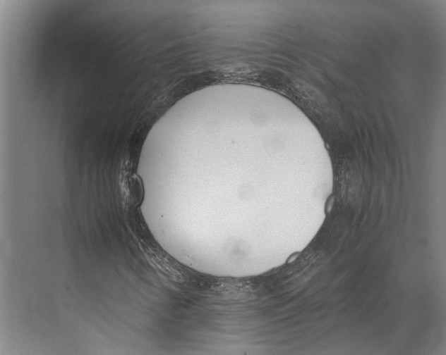 X0000071951346200608041542