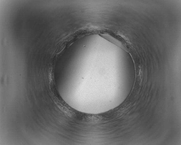 X0000071951348200608041542