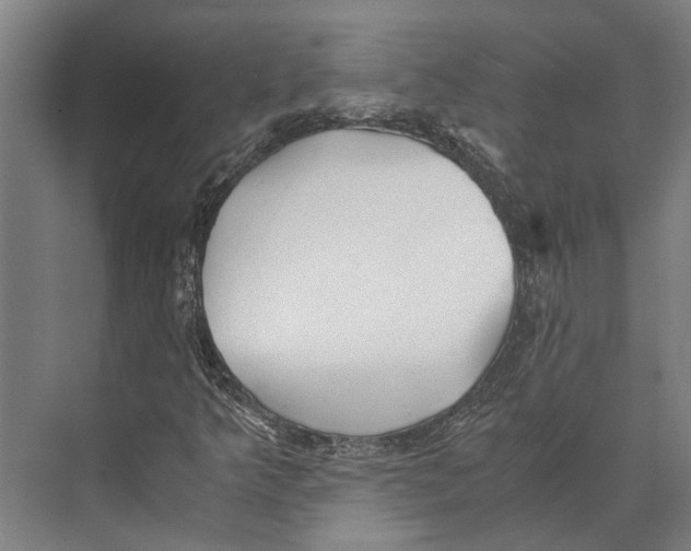 X0000071951349200608041542