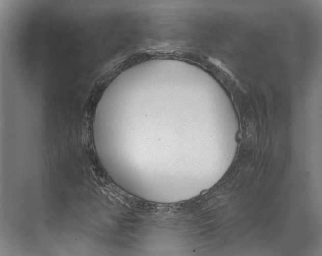 X0000071951350200608041542