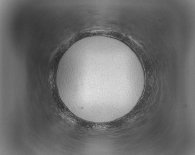 X0000071951351200608041542