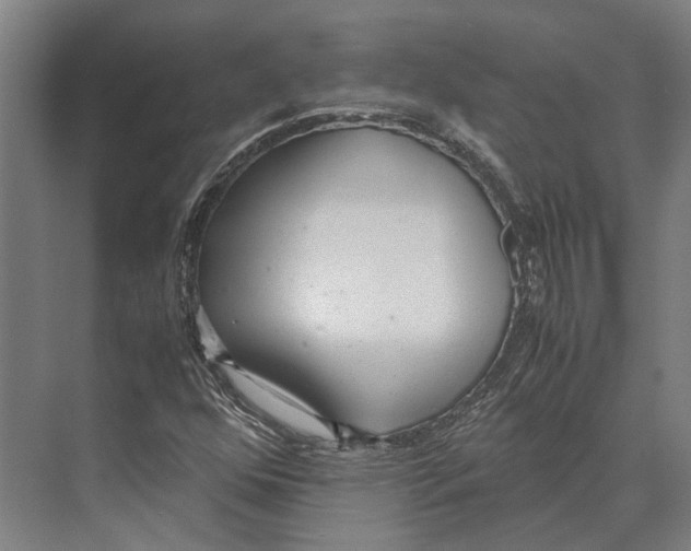 X0000071951352200608041542