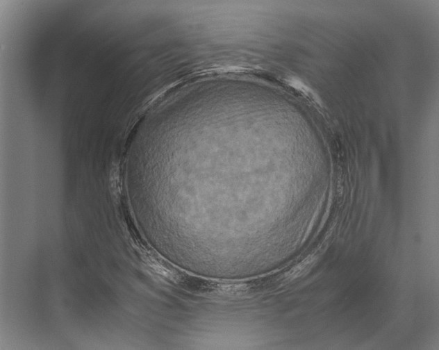 X0000071951353200608041542