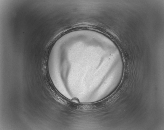 X0000071951355200608041542