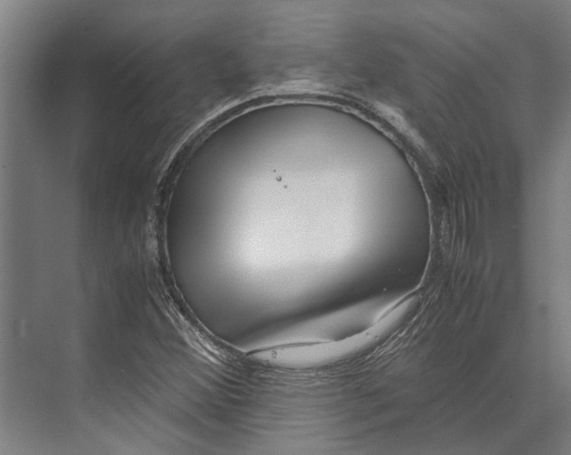 X0000071951356200608041542