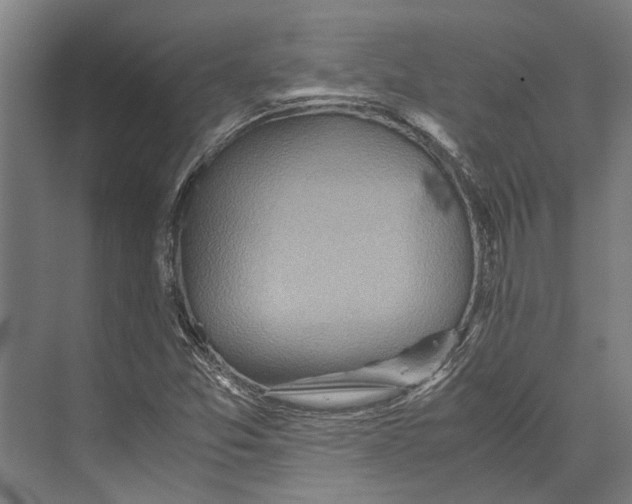 X0000071951357200608041542