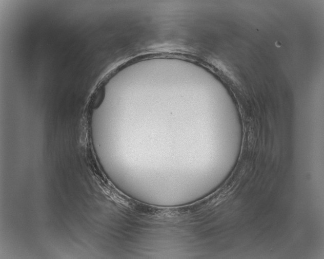 X0000071951358200608041542