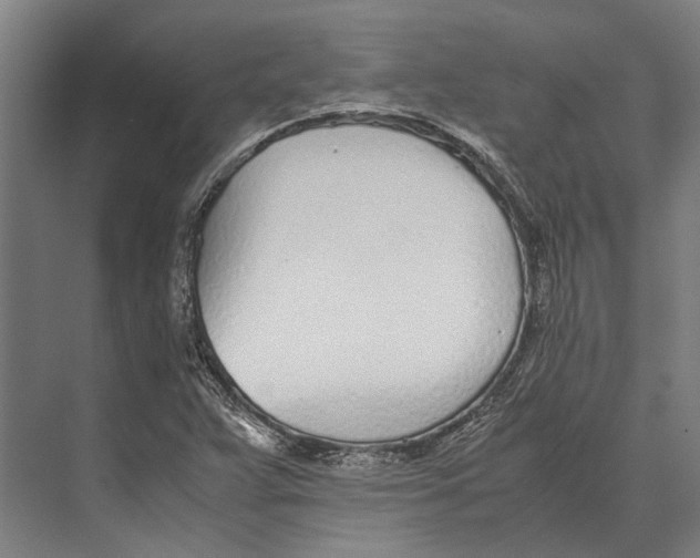 X0000071951359200608041542