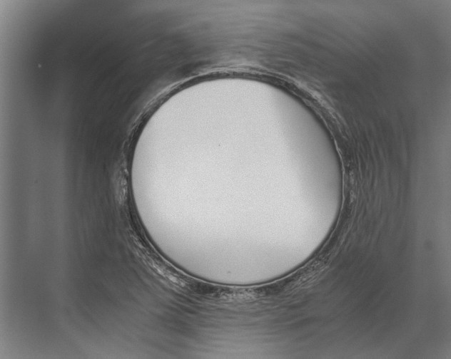 X0000071951363200608041542