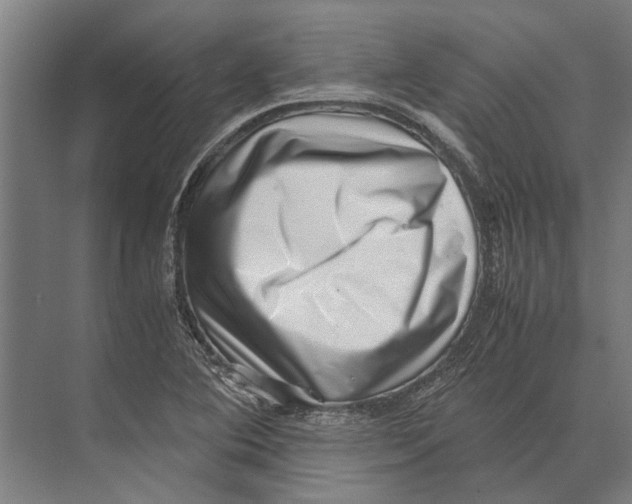 X0000071951364200608041542