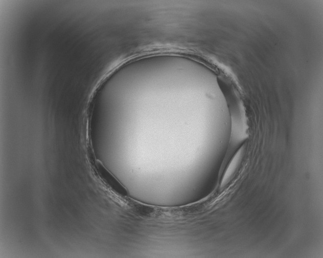 X0000071951365200608041542