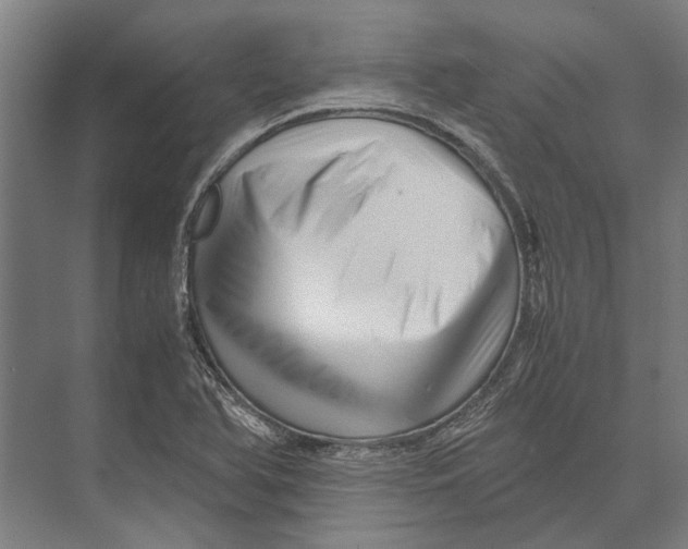 X0000071951366200608041542