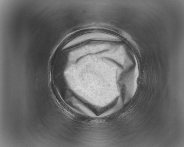 X0000071951368200608041542