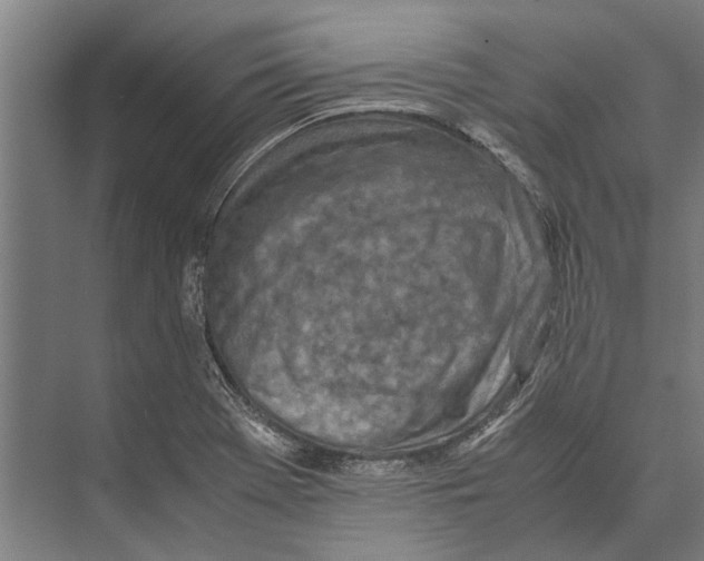 X0000071951369200608041542