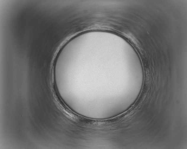 X0000071951371200608041542