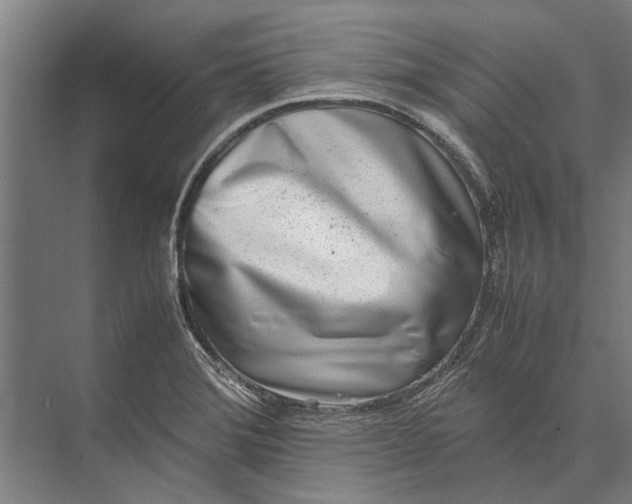 X0000071951372200608041542