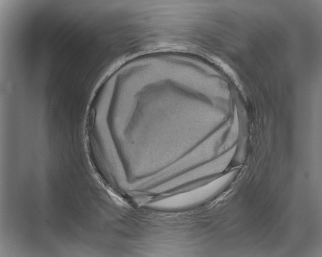 X0000071951373200608041542