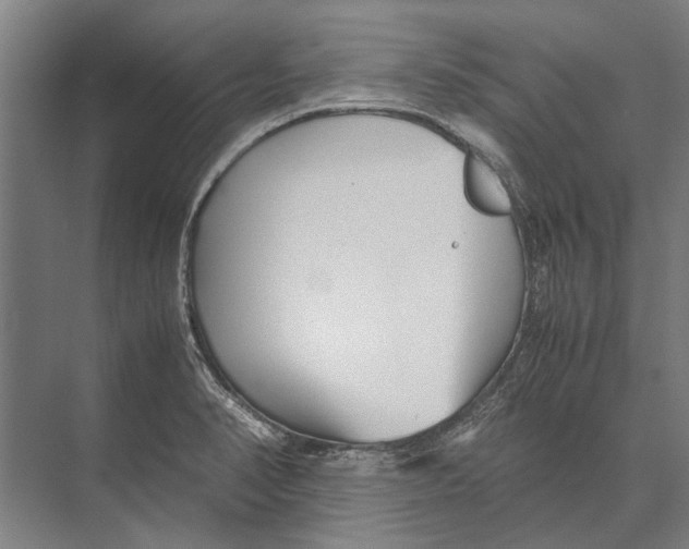 X0000071951374200608041542