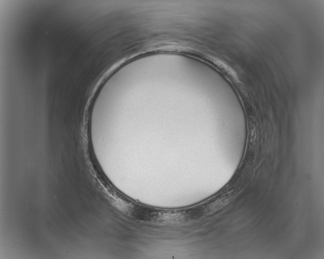 X0000071951375200608041542