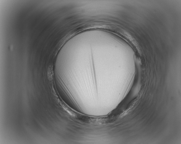 X0000071951377200608041542