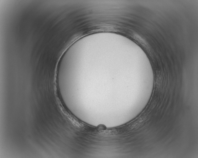 X0000071951378200608041542