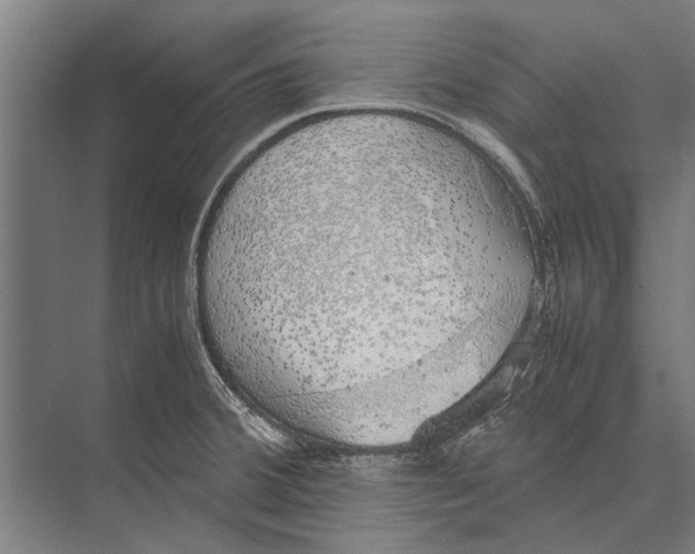 X0000071951380200608041542