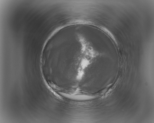 X0000071951381200608041542