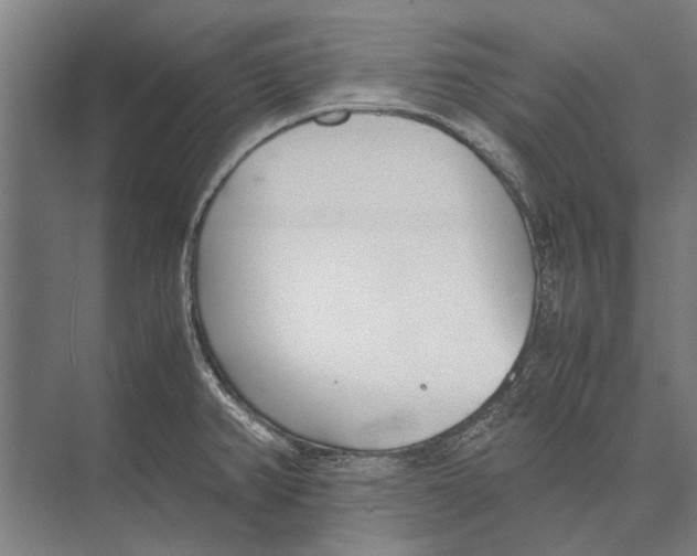 X0000071951382200608041542