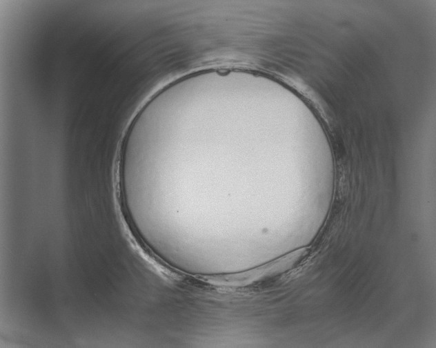 X0000071951383200608041542