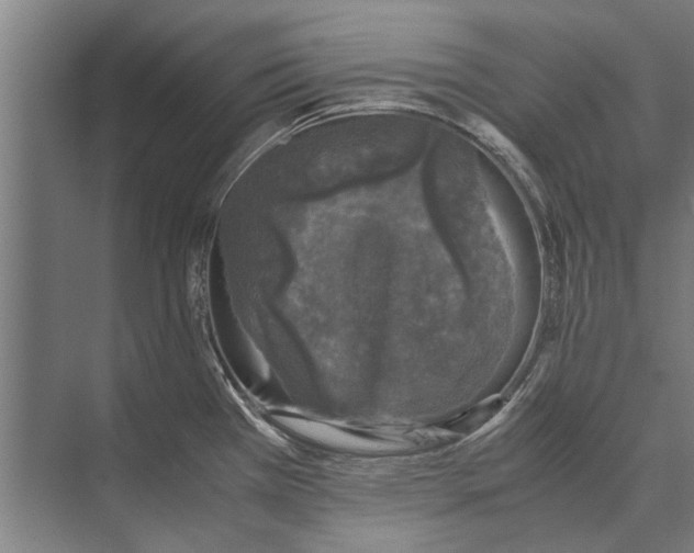 X0000071951385200608041542