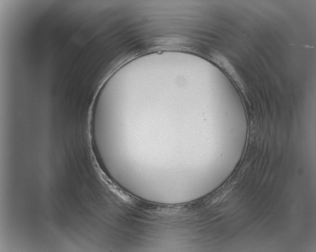 X0000071951386200608041542