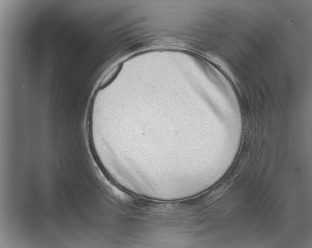 X0000071951387200608041542