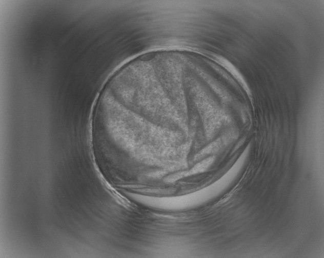 X0000071951388200608041542