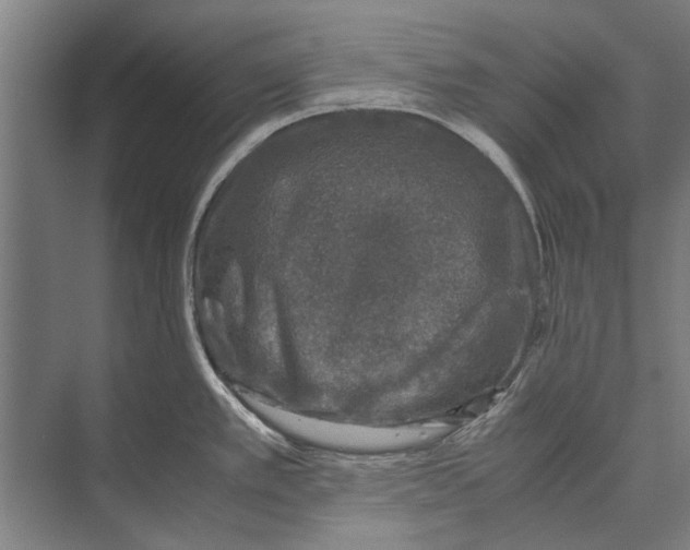 X0000071951389200608041542