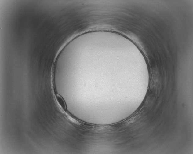 X0000071951390200608041542