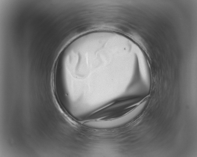 X0000071951391200608041542