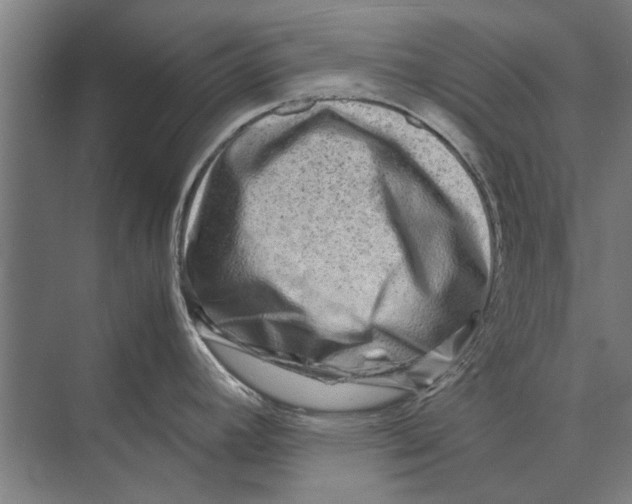 X0000071951392200608041542