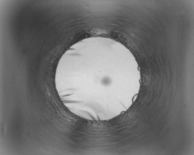 X0000071951393200608041541