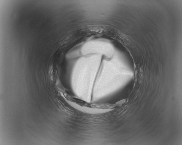 X0000071951394200608041541