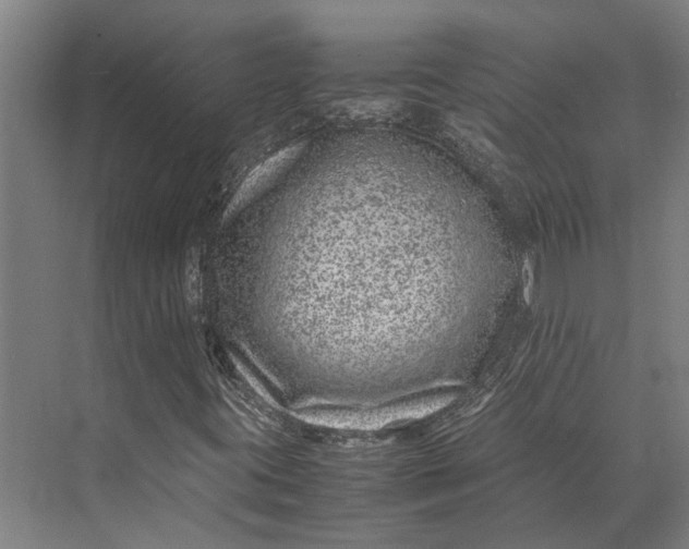 X0000071951395200608041541