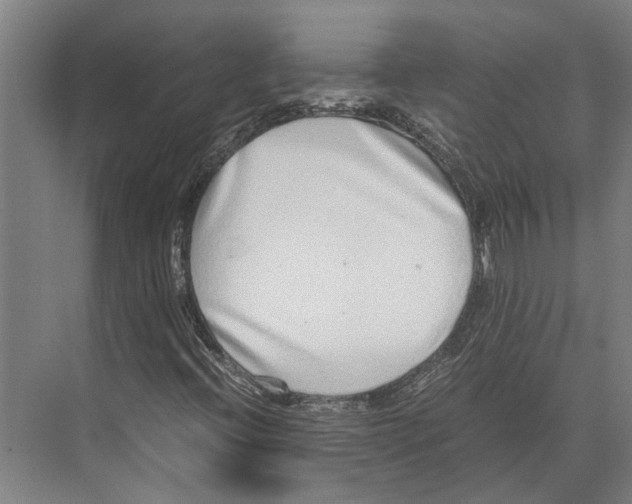 X0000071951396200608041541