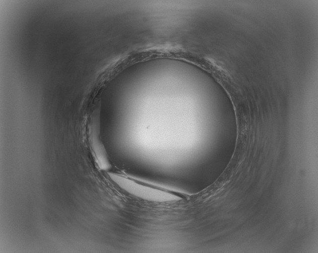 X0000071951398200608041541