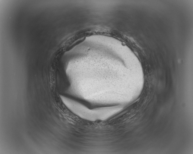 X0000071951399200608041541