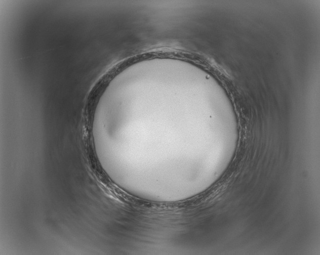 X0000071951400200608041541