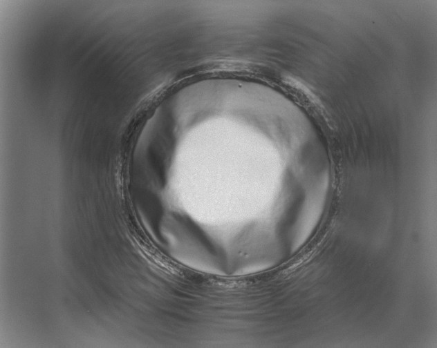 X0000071951403200608041541