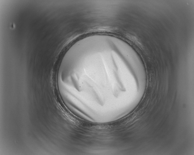 X0000071951404200608041541