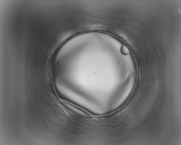 X0000071951405200608041541